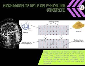 Self-Healing Concrete : The Promise of Building Better